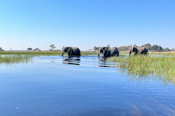 delta okavango voyage