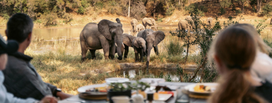 7 Reasons to Return to Africa