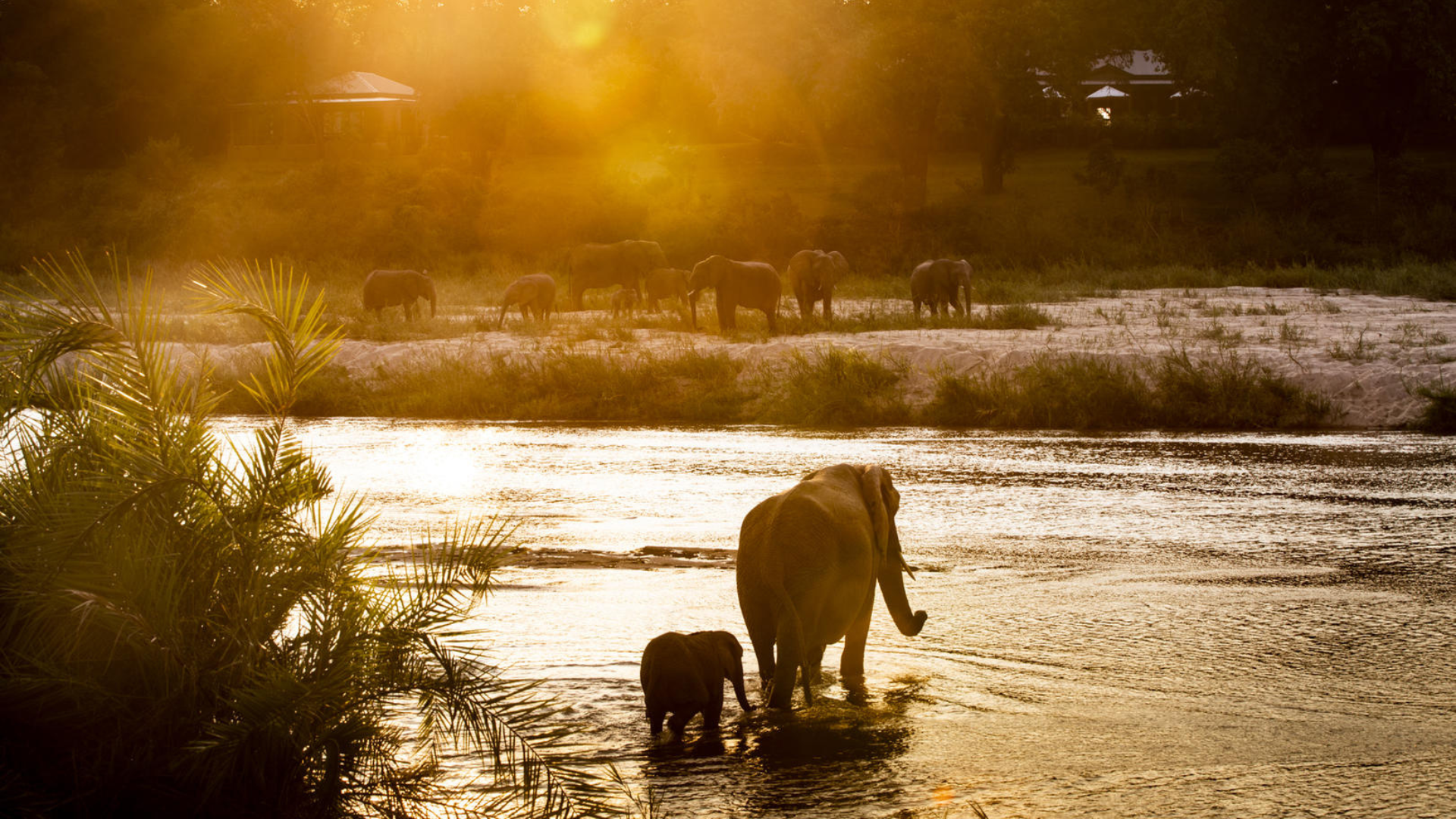 Why a safari is the ultimate holiday with your teenager