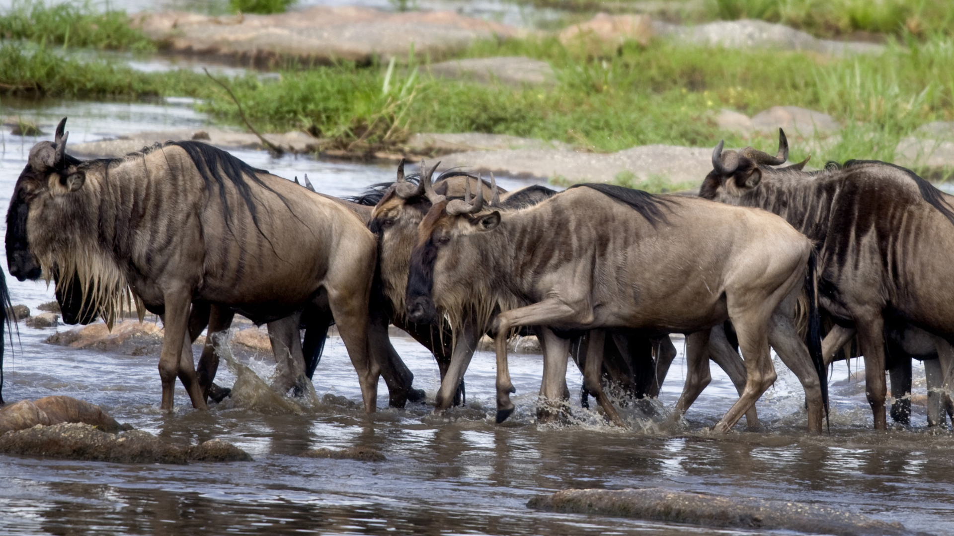 Beyond the hype of the Great Migration