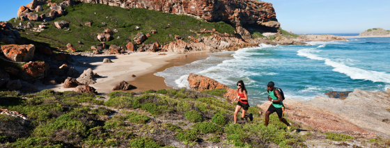 You’ve seen Cape Town. Now experience the Garden Route. 