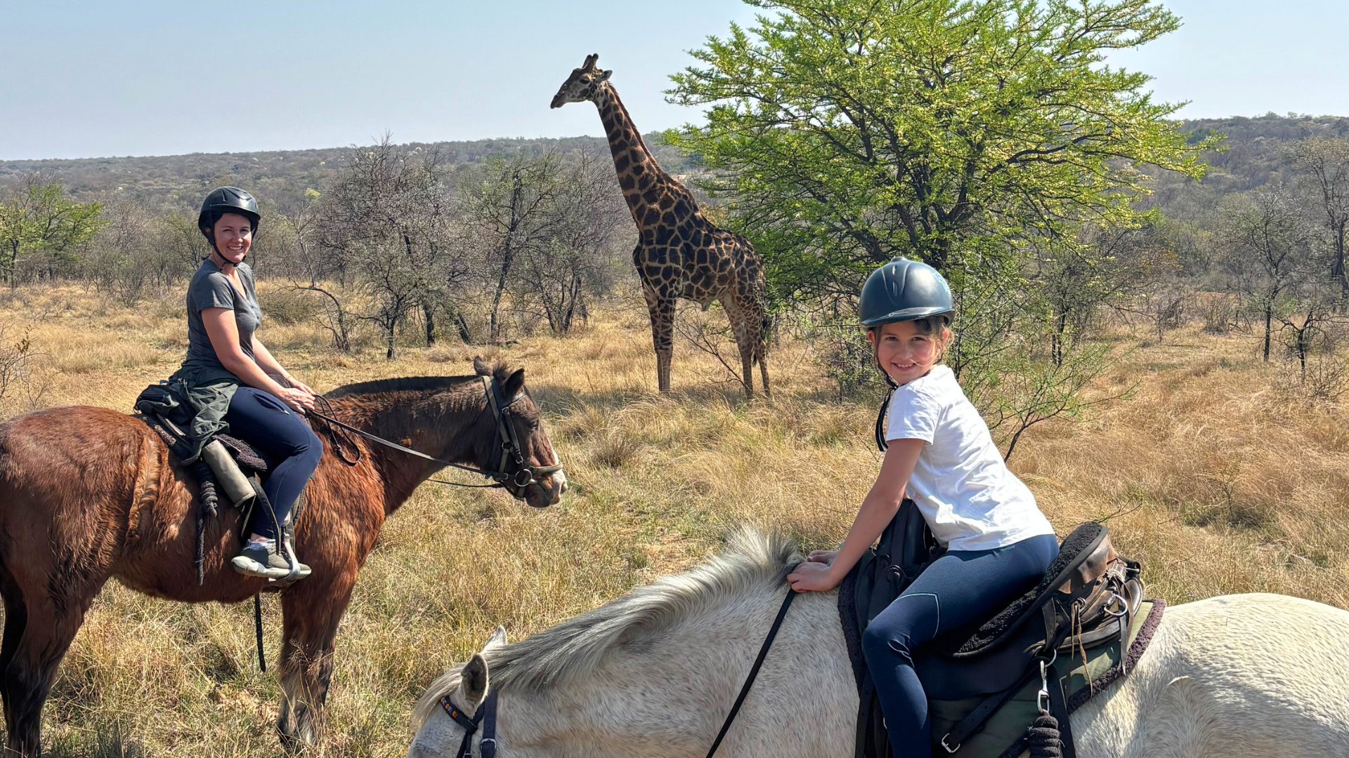 The Quiet Safari – Experiencing Wildlife from the Saddle
