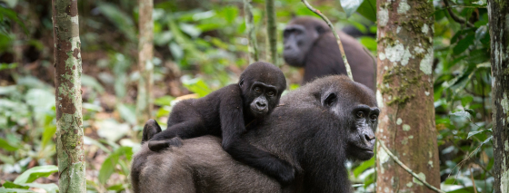 What you loved most: our top 10 travel stories of 2025