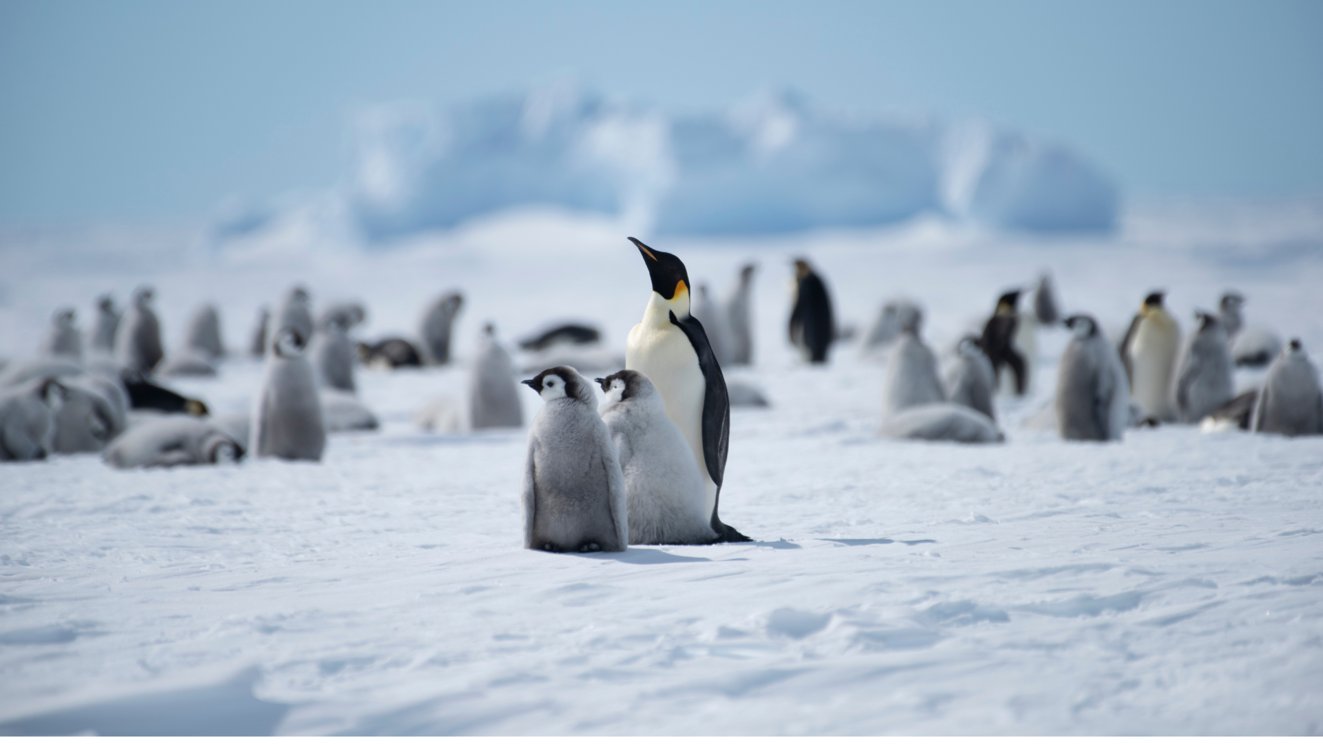 2026’s most exclusive travel experiences