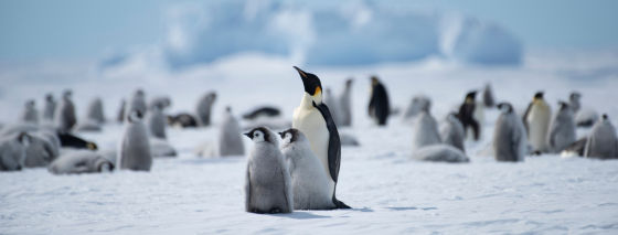 2026’s most exclusive travel experiences