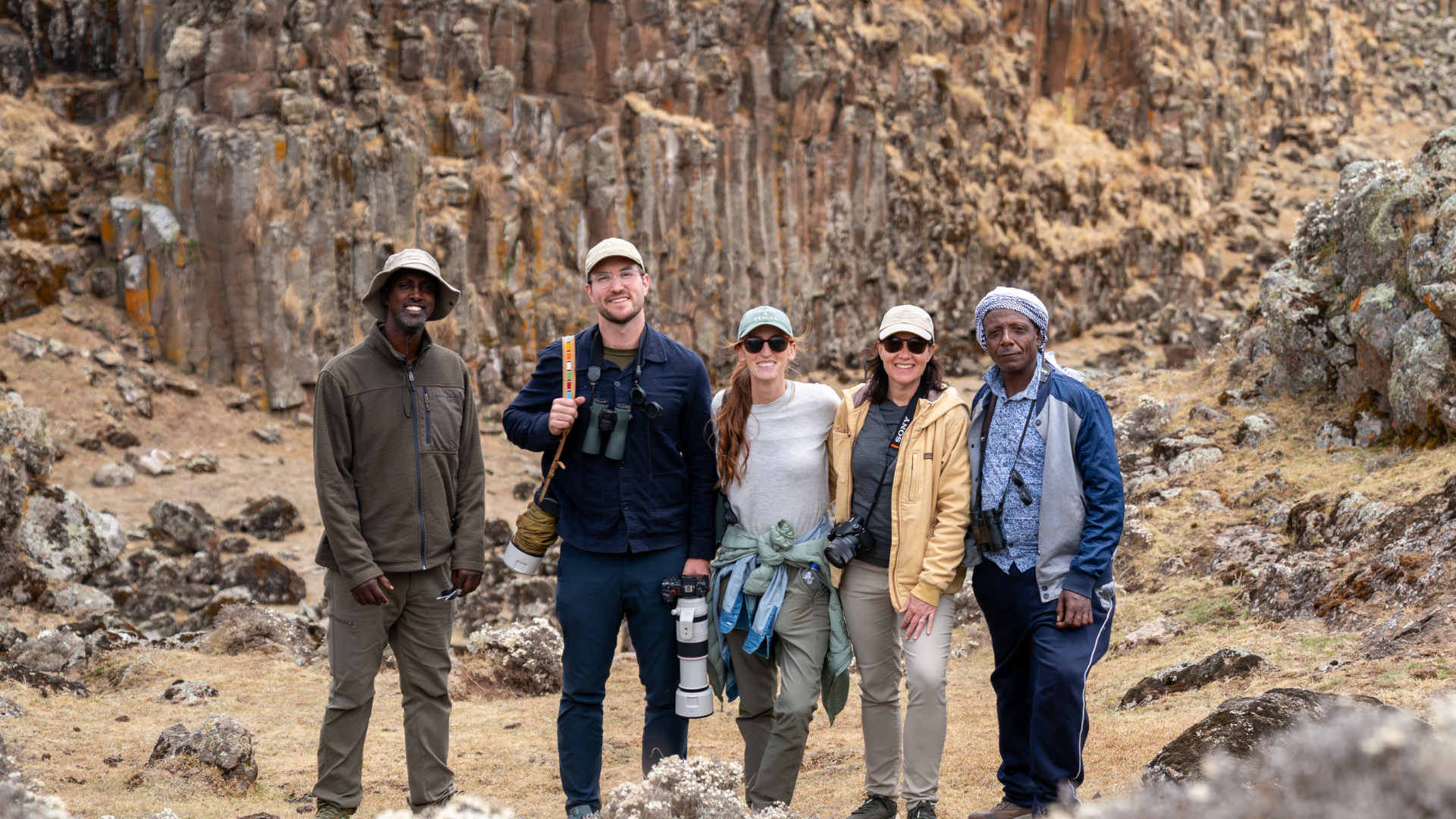 In search of the Ethiopian wolf