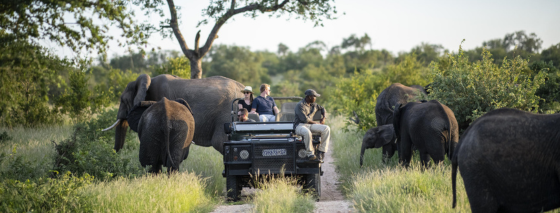 First safari in Africa? Here’s our recommended itinerary.