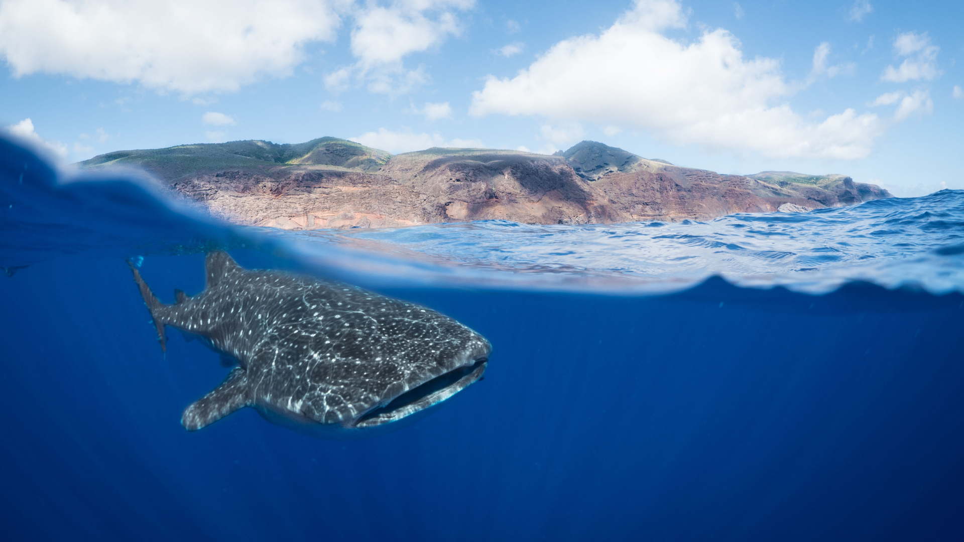 St Helena, the island at the edge of the world