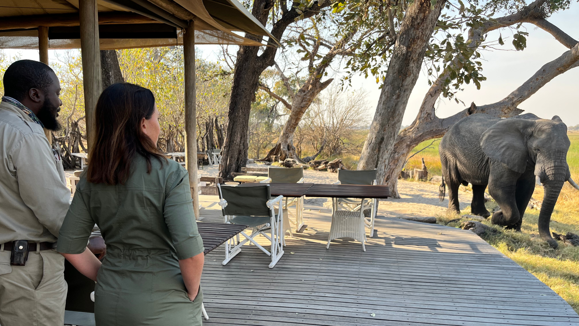 Etosha vs Okavango – Which safari is right for you?